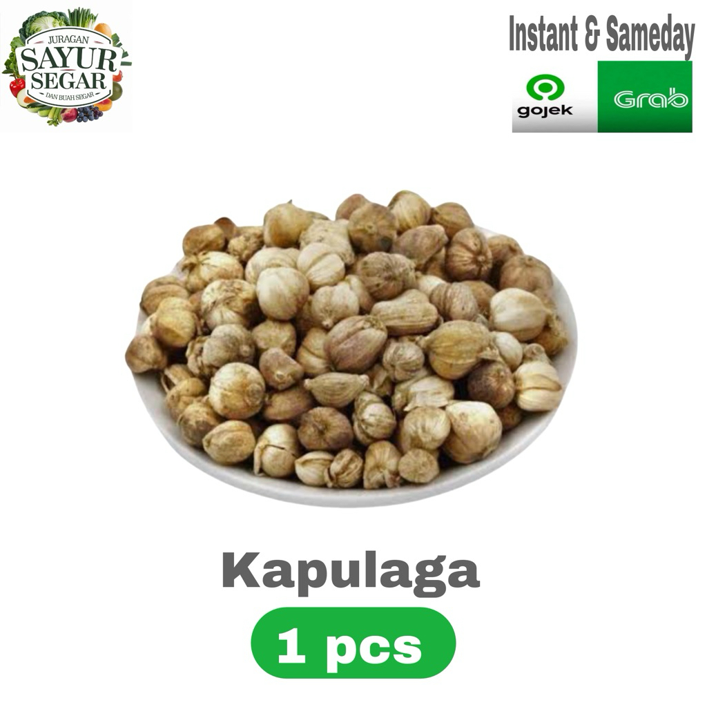 

Kapulaga sachet 1 pcs murah instant