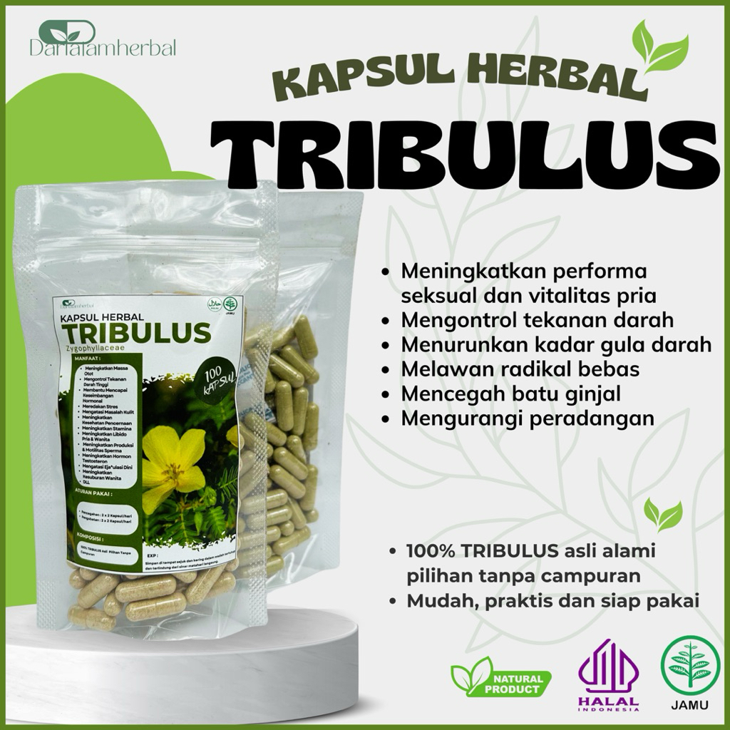 saya Kapsul Herbal TRIBULUS isi 100 kapsul | Kapsul Sejuta manfaat asli 100% Tribulus Alami