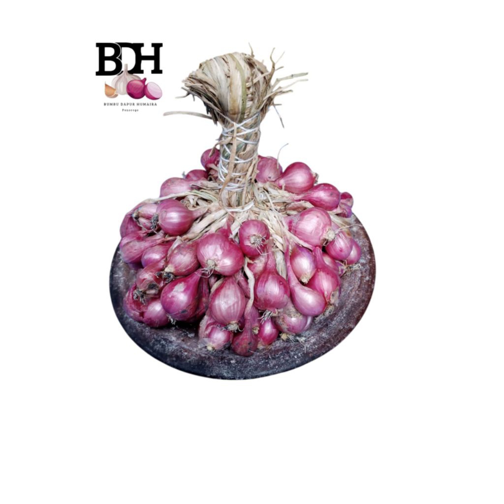 

bawang merah kering daunan/ombyok