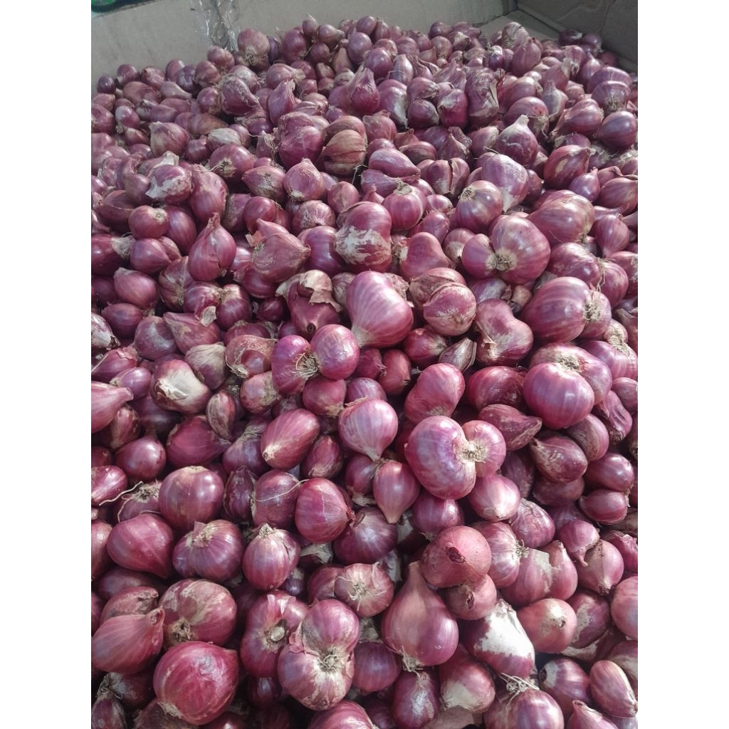 

bawang murah / bawang merah probolinggo 1kg ( Tanggung Besar )