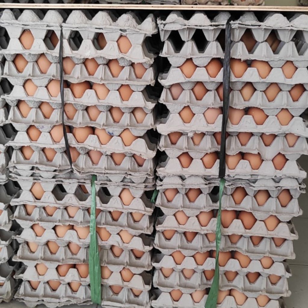 

telur ayam fresh dan berkualitas satu ikat/15kg (bisa request sesuai ukuran)