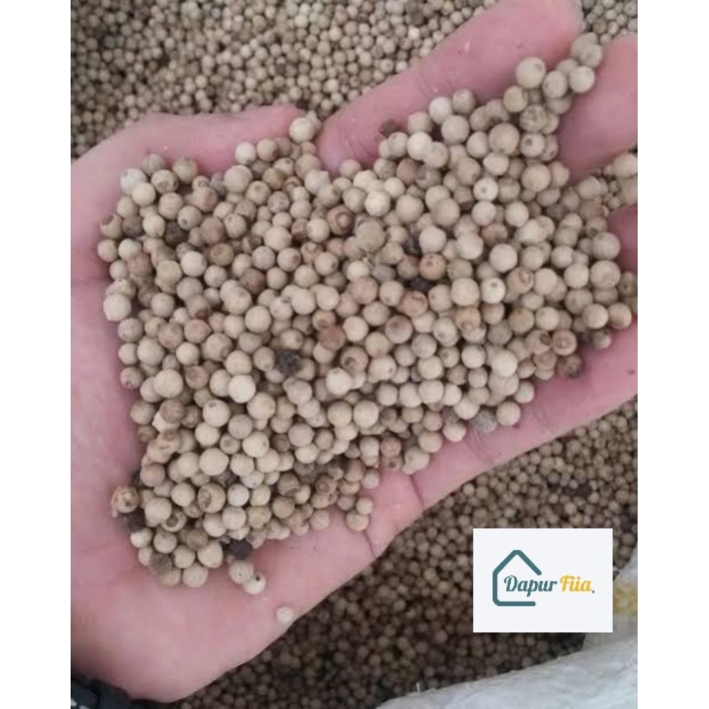 

Lada putih 50gr / bumbu dapur / rempah / herbal