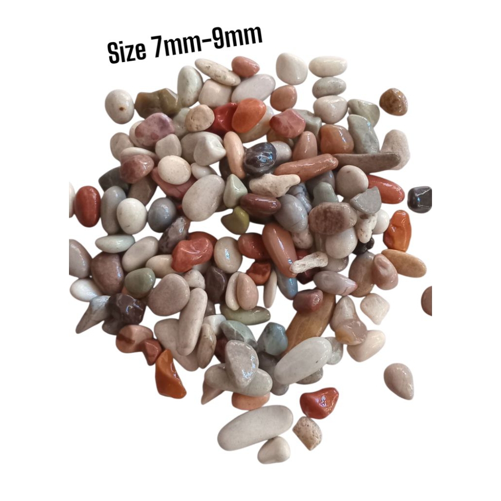 Batu krikil pancawarna 20kg/Batu koral pancawarna/Batu sikat/batu alam/Batu hias pancawarna/Batu kri