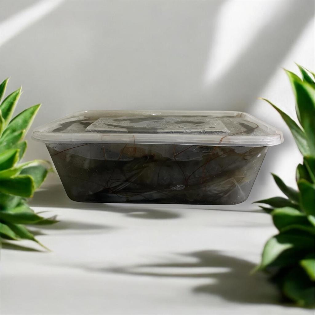 

UDANG VANAME FRESH 500 GRAM (Size 50-55)