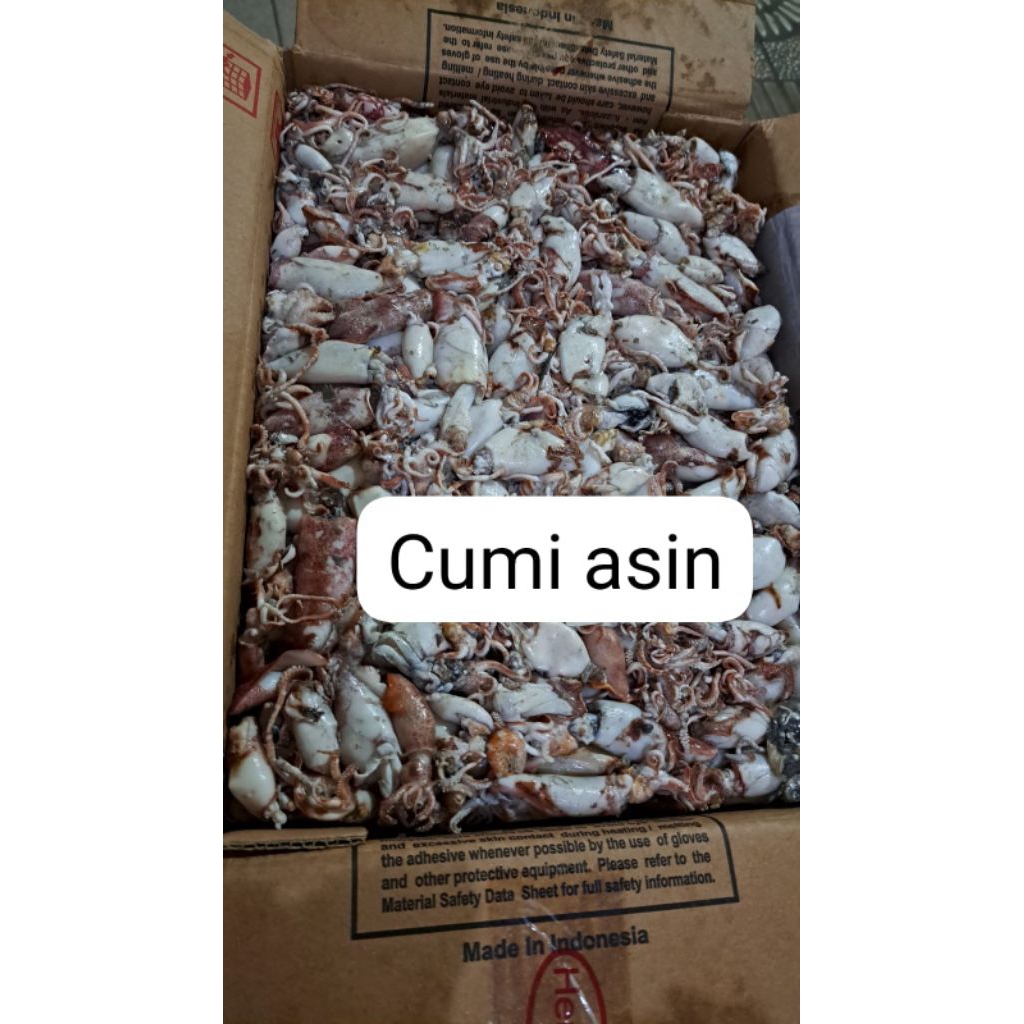 

Cumi Asin 1kg/500gr (Hanya INSTAN)