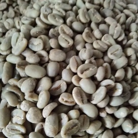 

Greenbean arabika 1kg kopi biji arabika Wonosobo