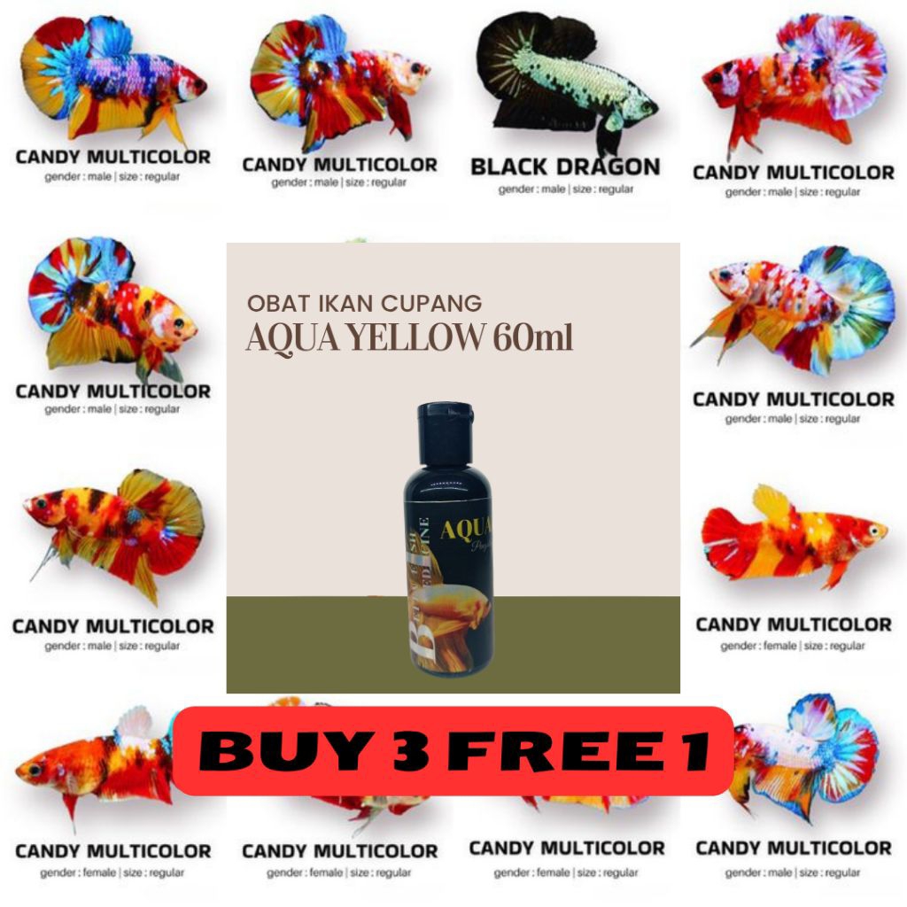 CUPANG J4NT4N PELAKAT SIZE S - L OBAT AQUA YELLOW 60ml BERVARIASI HALFM00N, GIANT | CUP4ANG GRADE | 