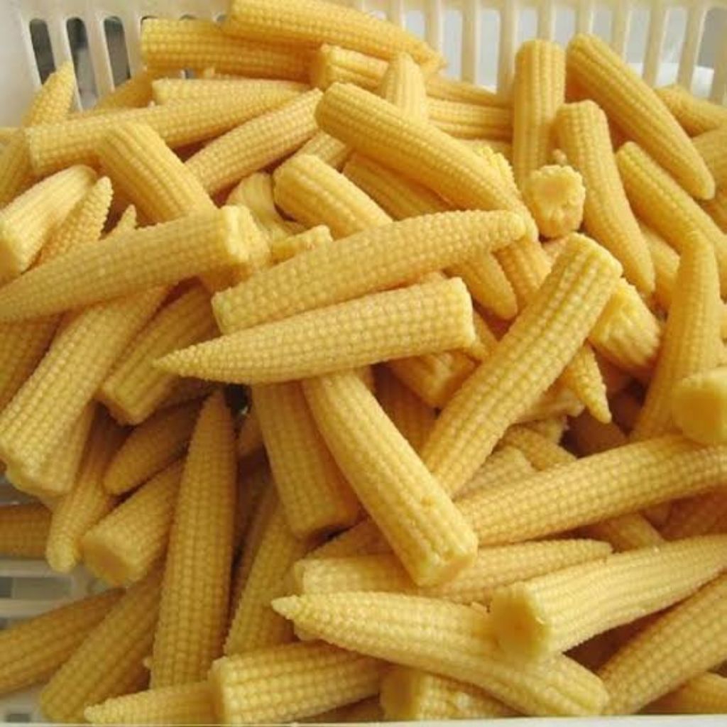 

Jagung Muda, Baby Corn Fresh 100gr