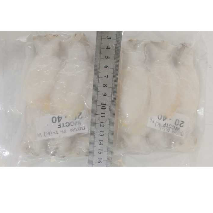 

SOTONG KUPAS