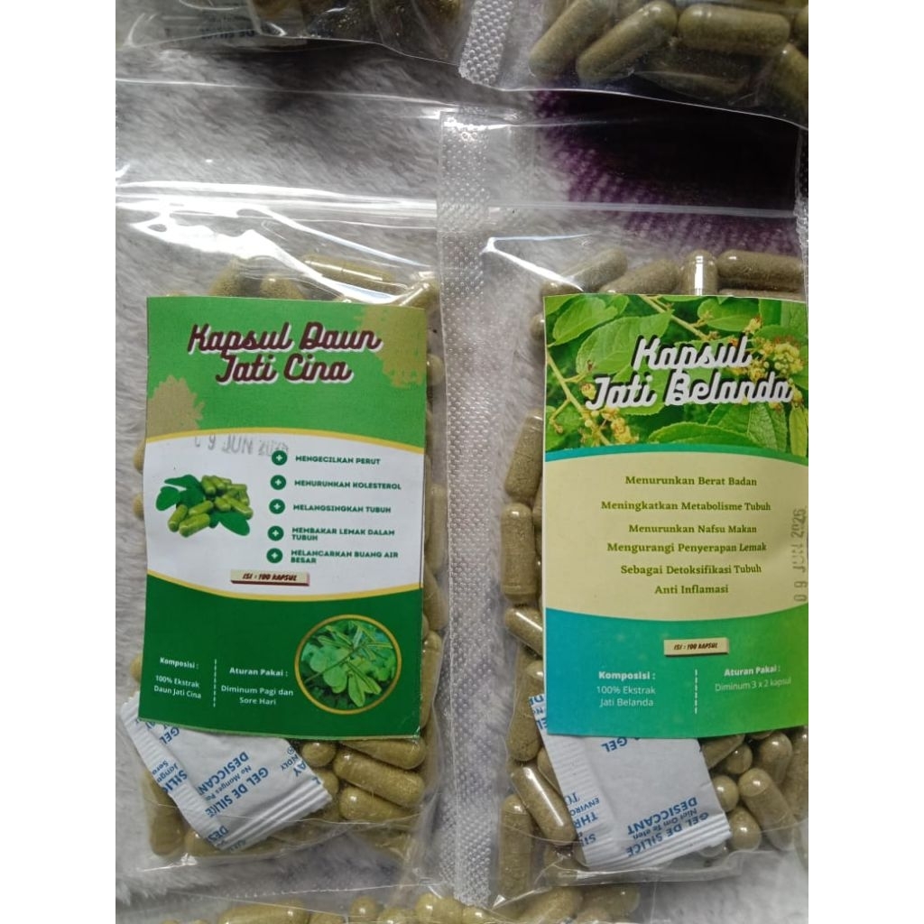 

kapsul daun jati cina/jati belanda