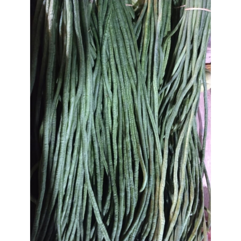 

Kirim Instan!!! Kacang Panjang 250gr,500gr