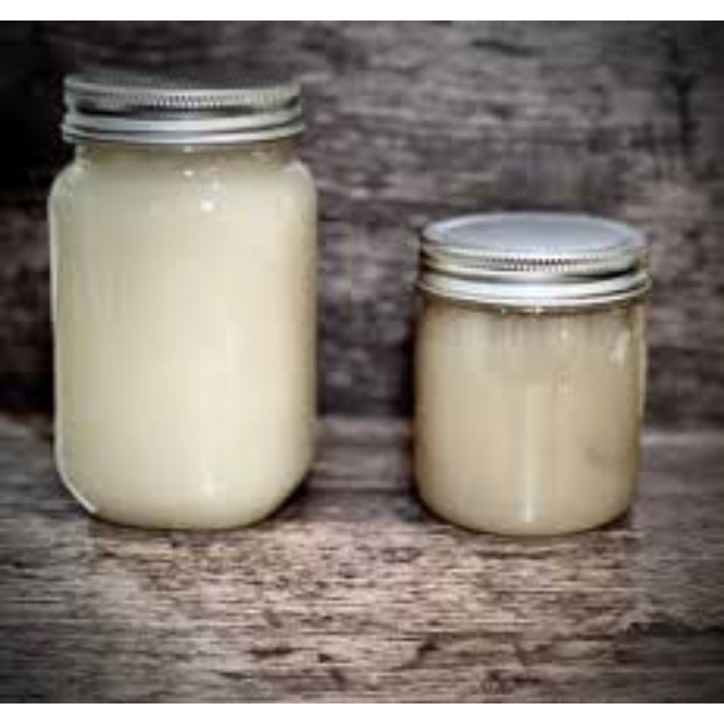 

Sea moss gel putih Rumput laut Conttoni