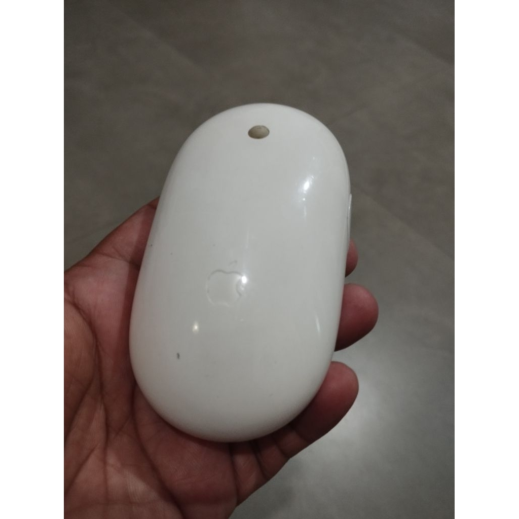 mighty mouse / mouse Apple normal