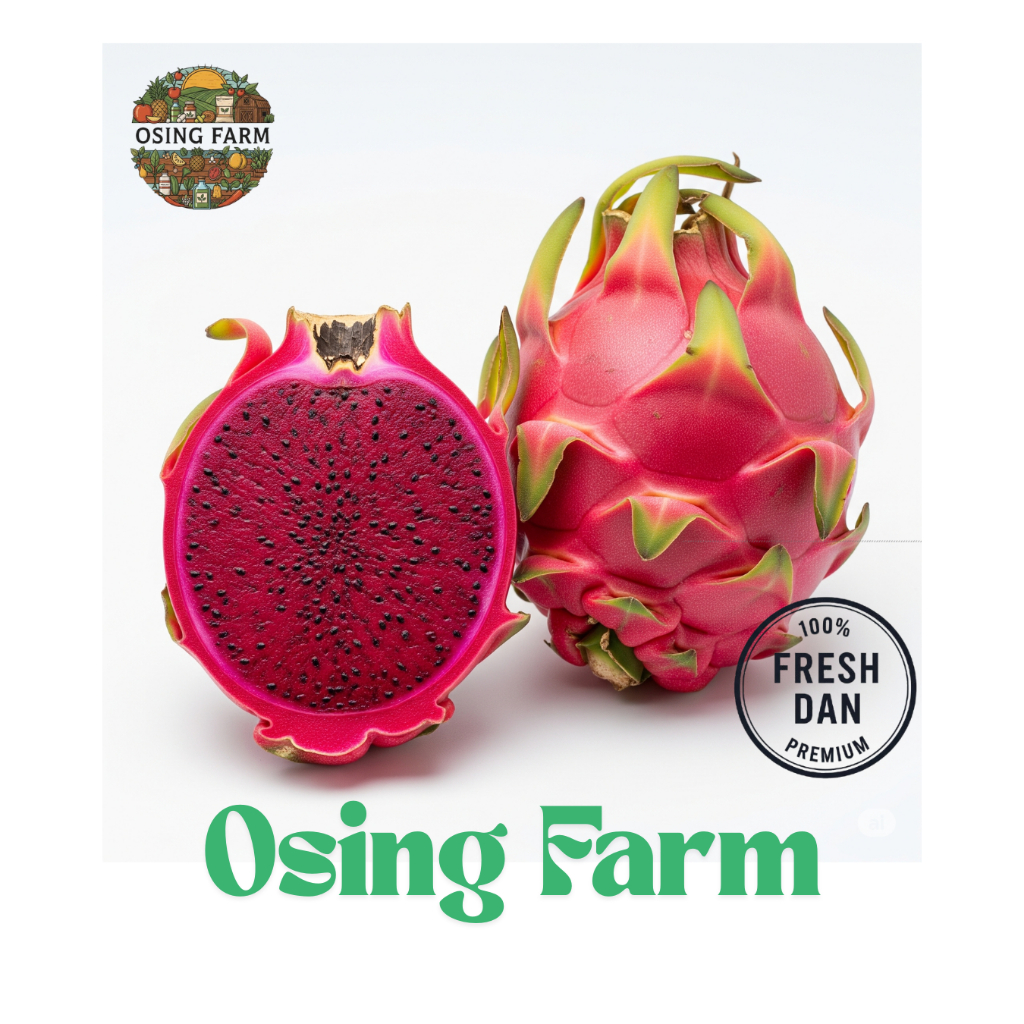 

Buah Naga Merah 1 Kg Grade S Premium | Petik Langsung | Organik | Manis & Lembut