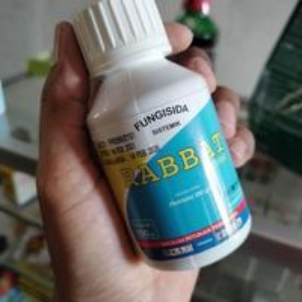 fungisida Rabbat 250 ML