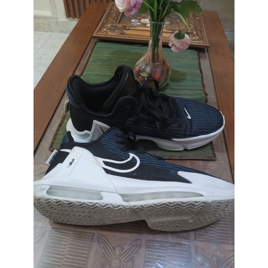 Nike LeBron witness 6 size 46