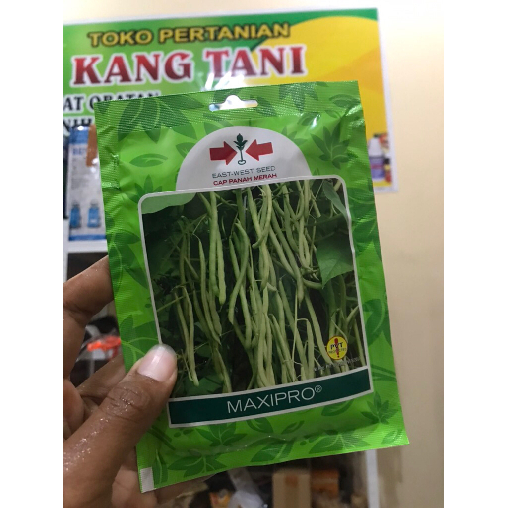 

KACANG BUNCIS ISI 225 BUTIR exp 4 2026