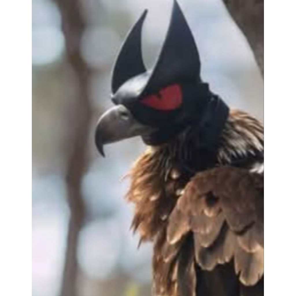 kerudung elang ukuran bondol/ bk