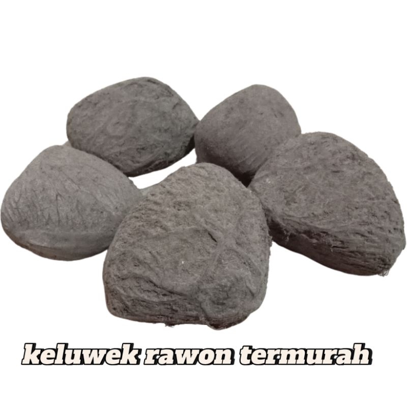 

3Butir Keluwek Rawon Pucung Picung sudah di proses Menjadi Hitam Siap di Olah Sambal Atau Nasi Rawon