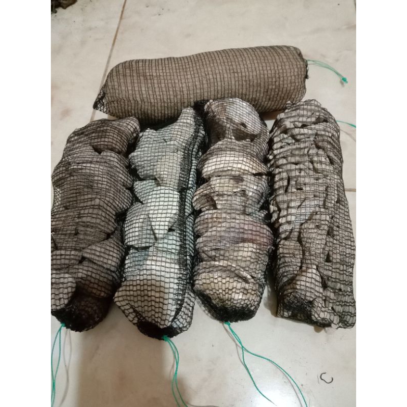 paket media filter aquarium