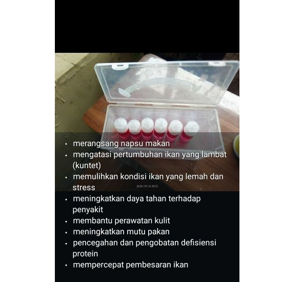 perangsang telur dan pertumbuhan napsu makan ikan