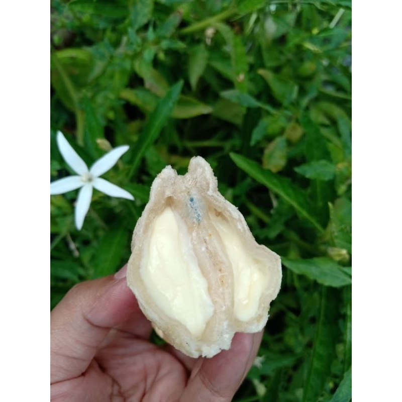 

cireng isi keju lumer