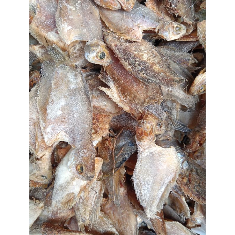 

Ikan Asin Sepat | Sepat sedang 250 gr | Sepat mini