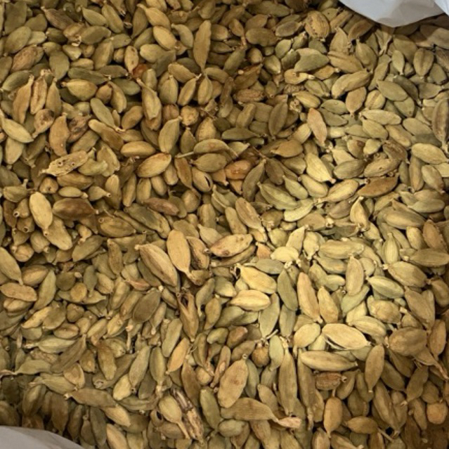 

Kapulaga arab 250gr kapulaga hijau kapulaga kapulaga india