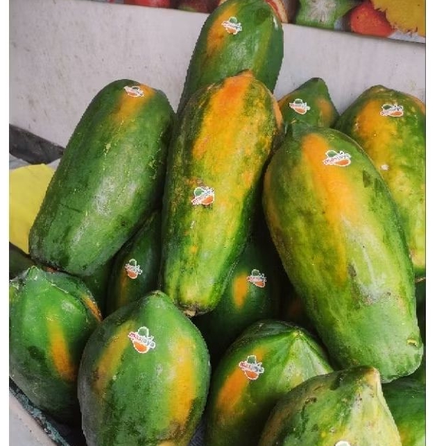 

pepaya Thailand