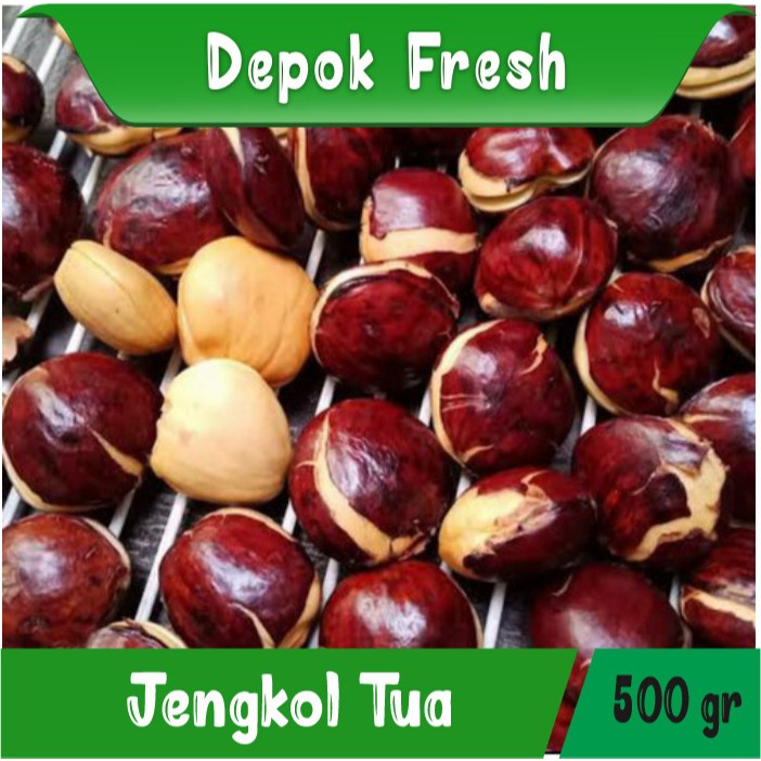 

JENGKOL RENDANG / JENGKOL TUA MENTAH BERKUALITAS 500 GRAM