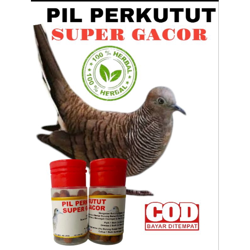 JAMU PIL PERKUTUT SUPER GACOR DOPING PERKUTUT MULTIVITAMIN (50 butir) SOLUSI BURUNG BAHAN MALAS BUNY