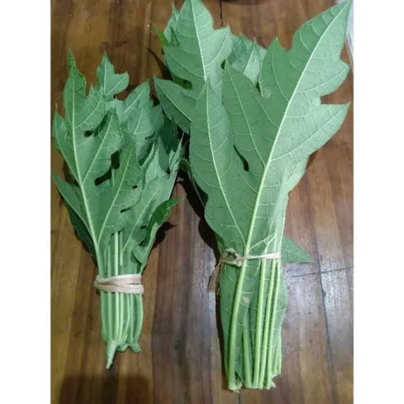 

Daun pepaya segar/Lalapan Mentah Daun pepaya