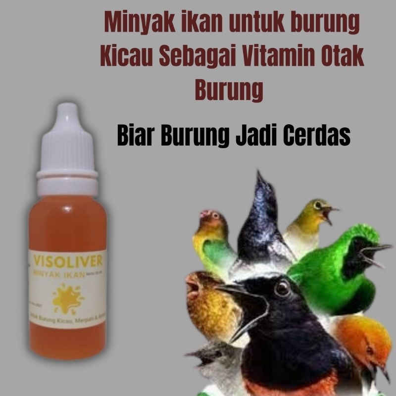 Visioliver Minyak Ikan Untuk Burung Kicau Sebagai Vitamin Otak Burung Murai batu Perkutut Dll