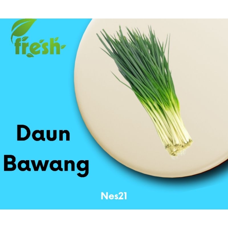 

Nes21 Sayur Daun Bawang / Segar / Instan H+1