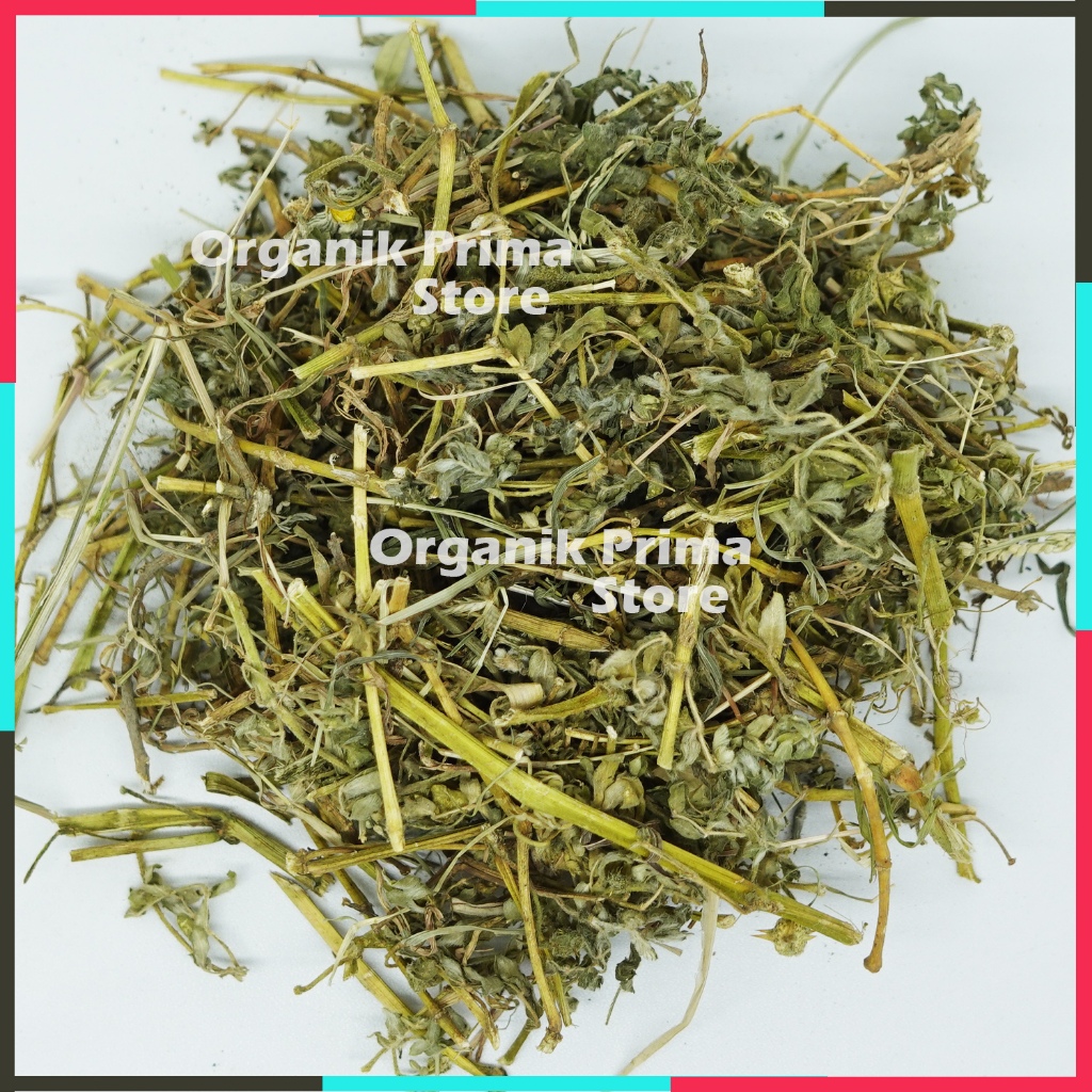 

Tribulus 500gr Kering Organik