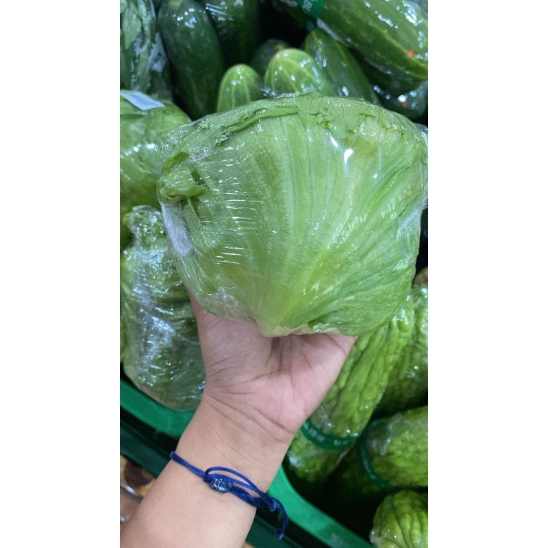 

Sayur Lettuce