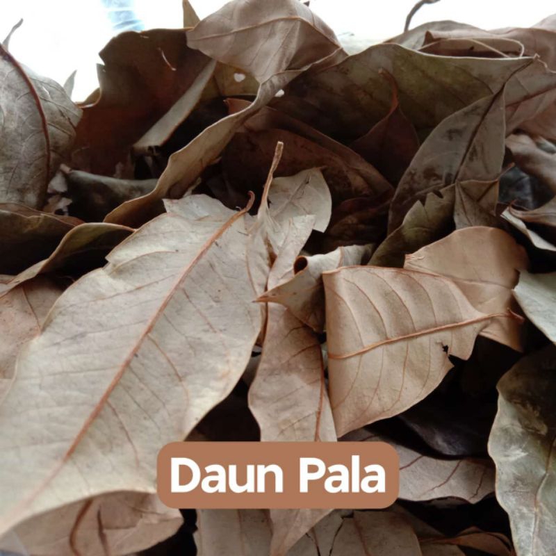 

daun pala kering kualitas bagus