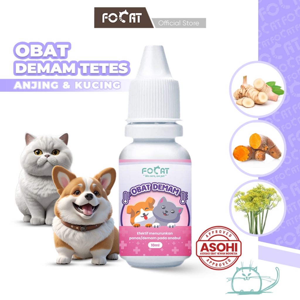 [ASOHI CERTIFIED] FOCAT Obat Tetes Demam Untuk Kucing Anjing N44/Pet Fever Medicine 10ml/Obat Demam Hewan Peliharaan