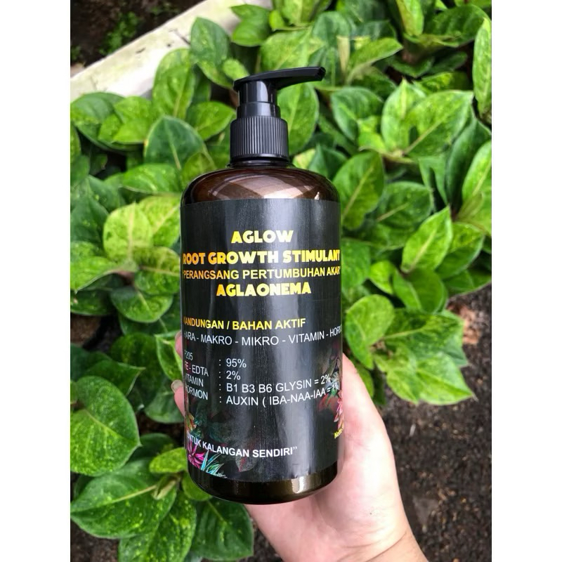 AGLOW ROOT GROWGH STIMULANT  PERANGSANG PERTUMBUHAN AKAR AGLAONEMA 500ml