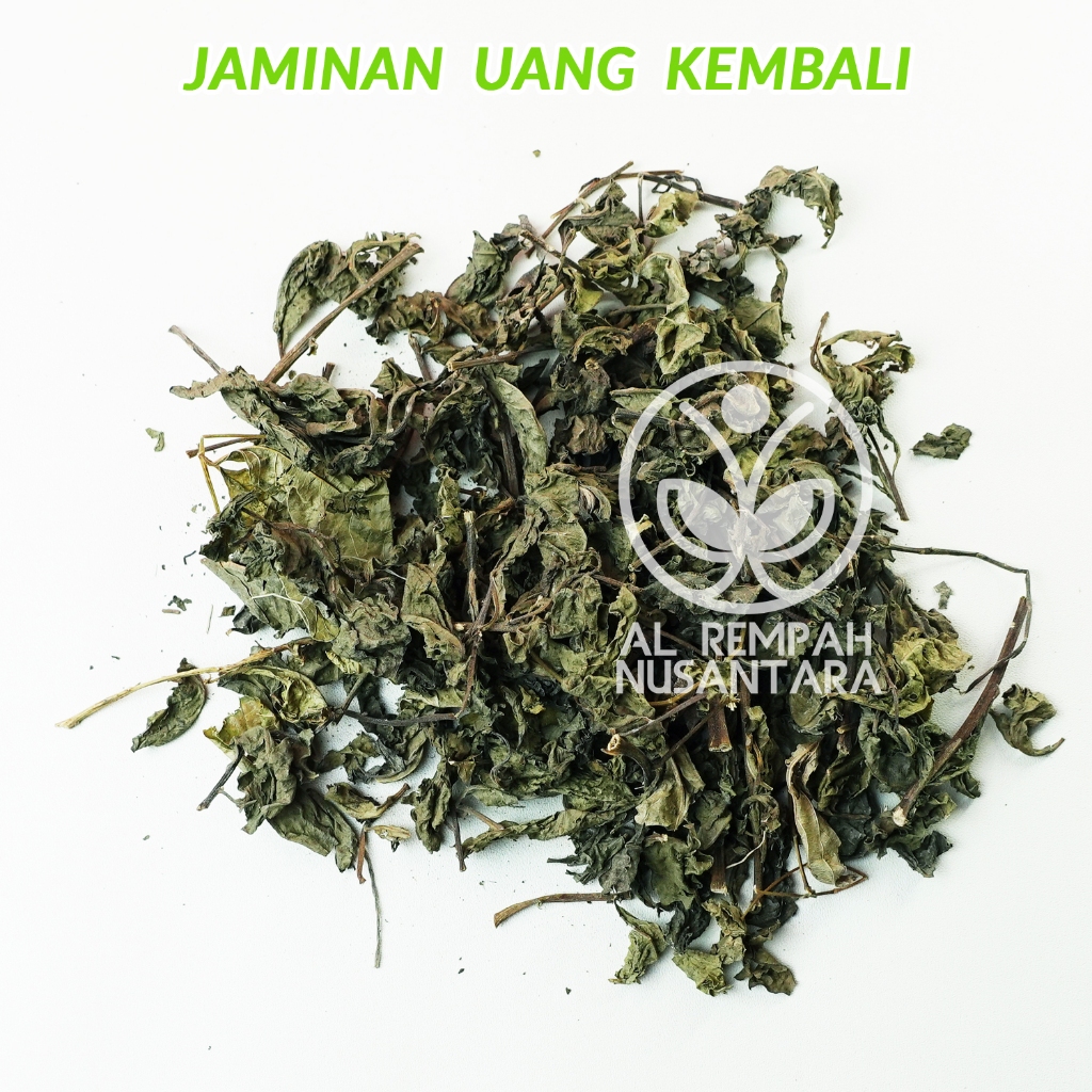 

Beluntas 1kg Kering Organik Asli Hutan