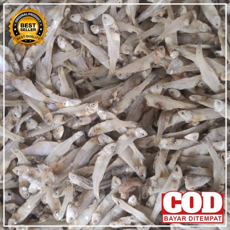 

TeriAsin Khas Cilacap Berkualitas 250g 500g 1kg