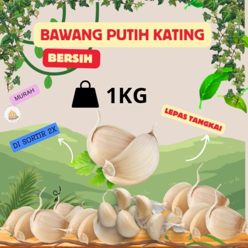 

Bawang Putih Kating Bersih 1 Kg (tidak ada bongol tidak busuk)