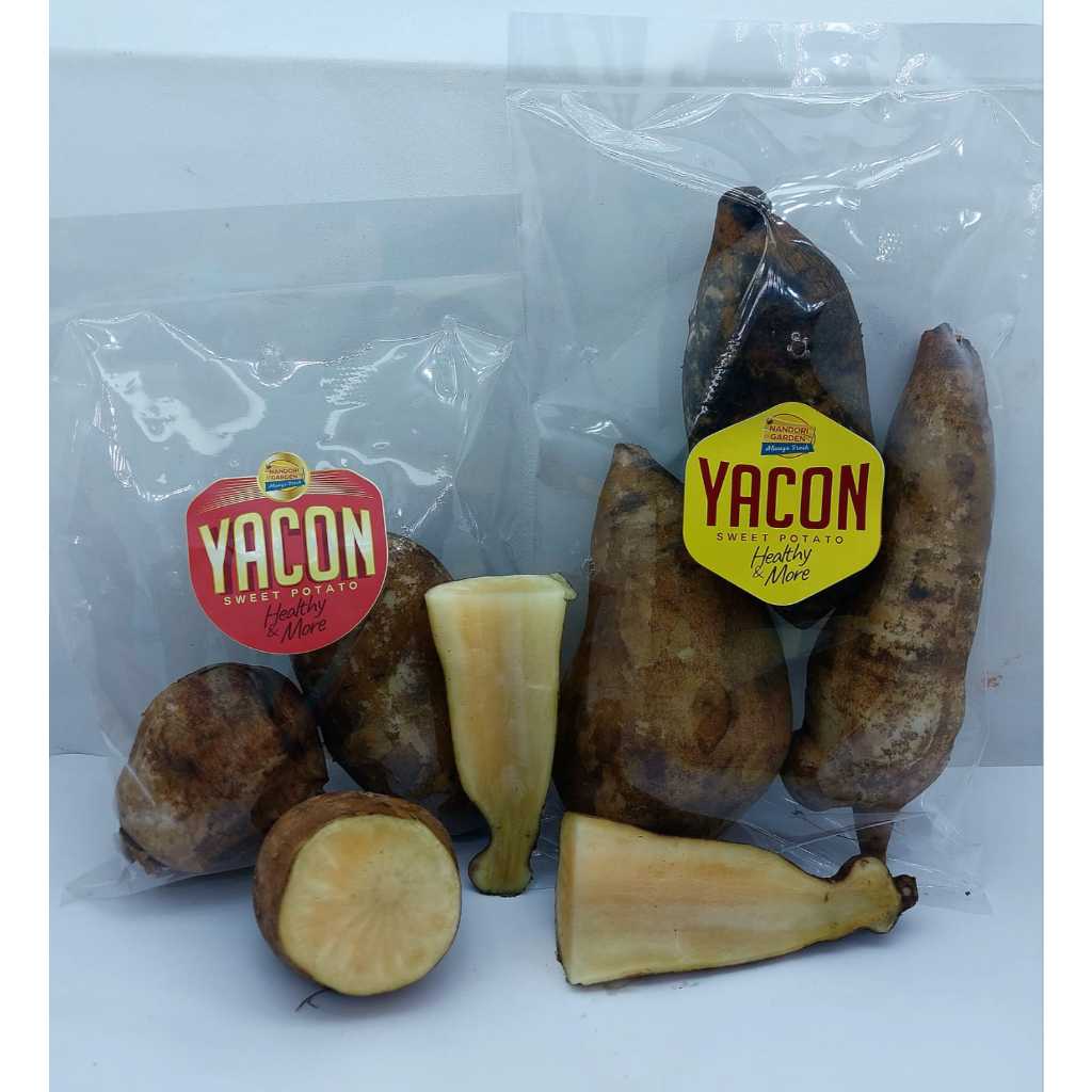 

[VIRAL] Ubi Manis YAKON/ YACON Segar Premium