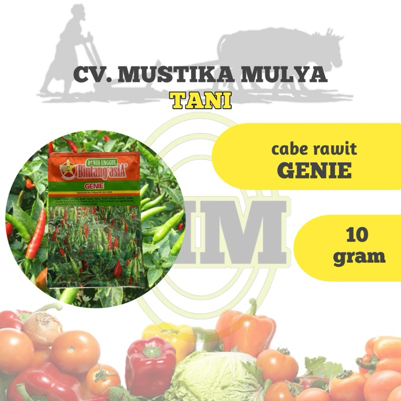 BENIH CABE RAWIT ( GENIE ) BINTANG ASIA