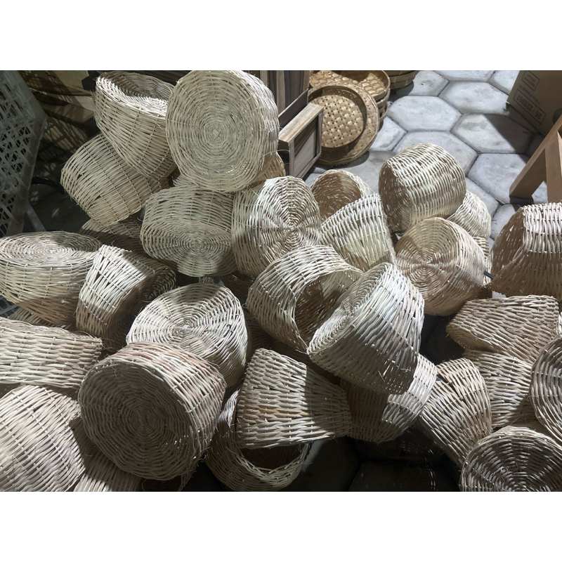 sarang rotan gowok burung sarang burung bertelur