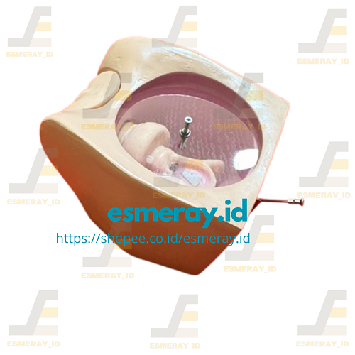 Phantom/Manekin/Manikin Praktek Pemasangan IUD-Alat Peraga Pendidikan Akper/Akbid/Stikes/Kedokteran