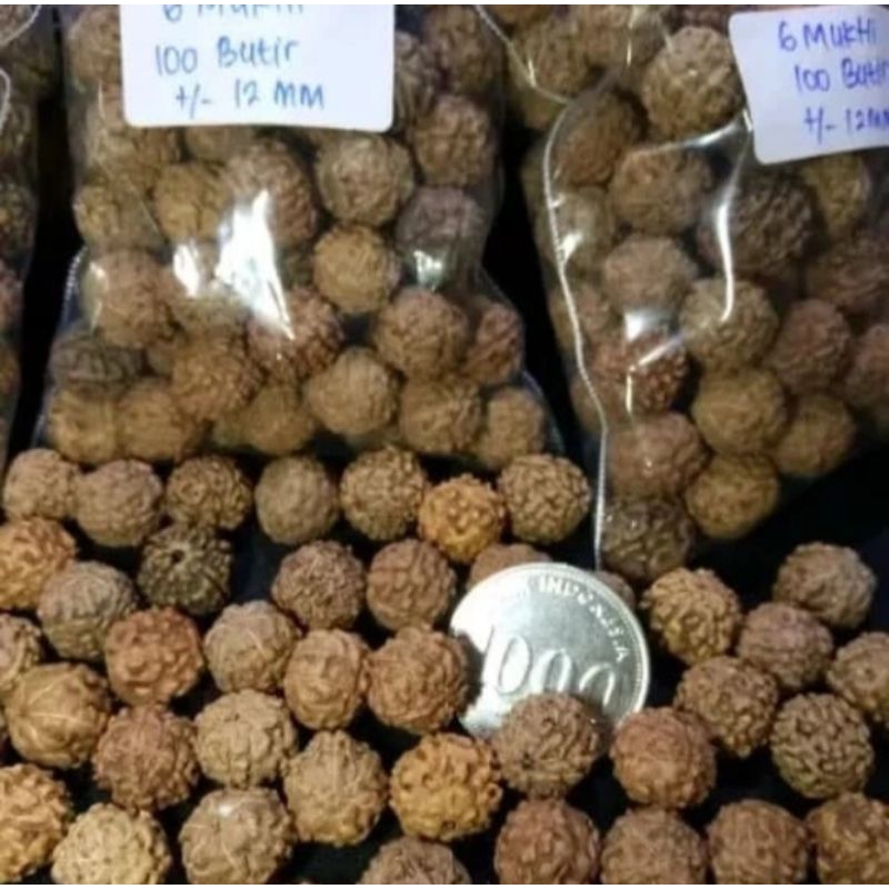 

Genitri Biji Jenitri Genitri Ganitri Asli Herbal