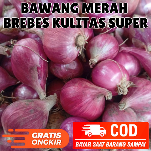 

BAWANG MERAH ASLI BREBES KUALITAS SUPER 1KG