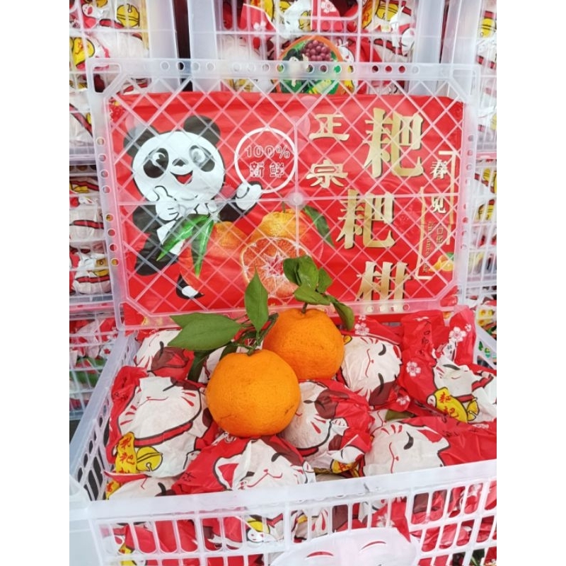 

Jeruk Papagan Kucing Merah 5,5 kg