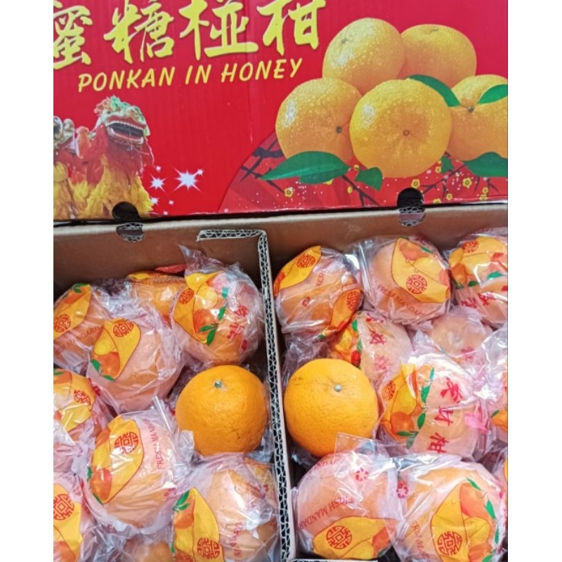 

Jeruk Ponkam Curah 8 kg ponkam in honey